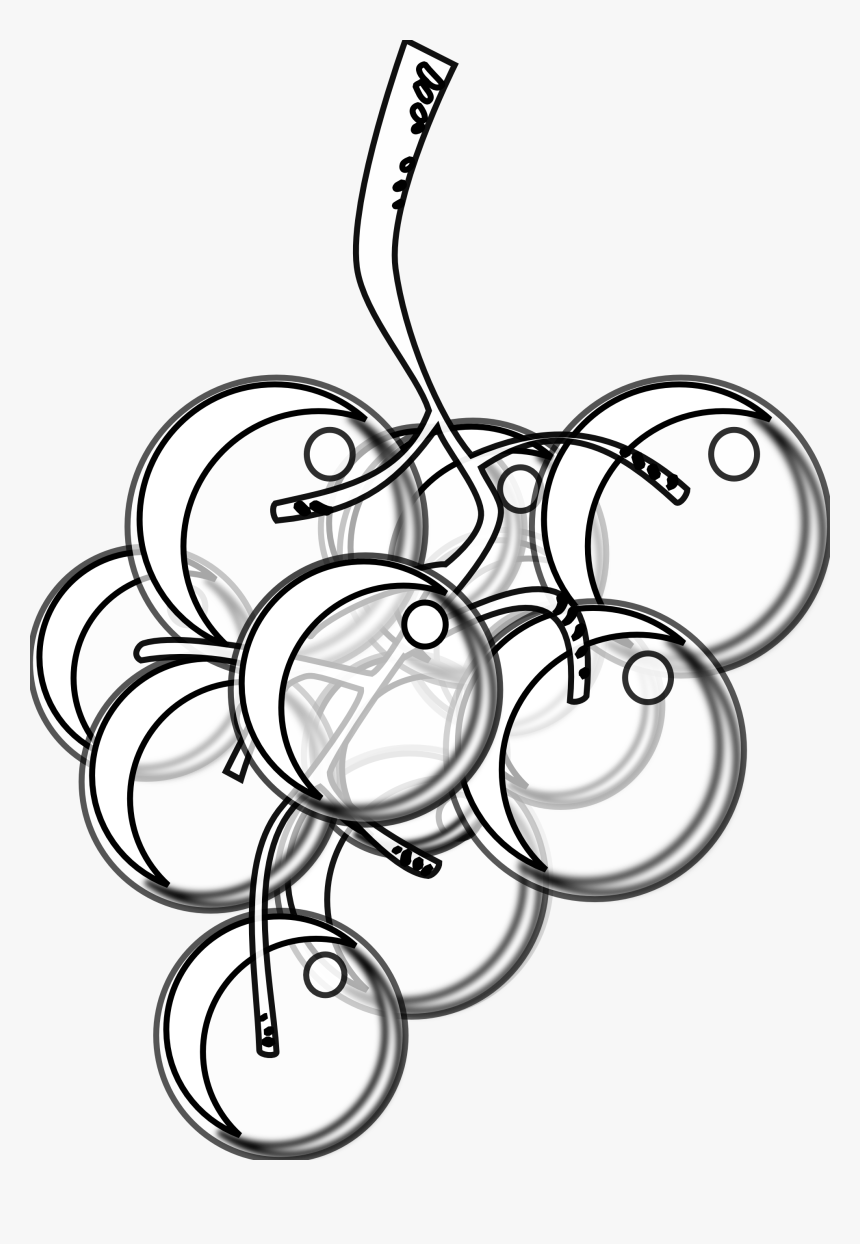 Grapes - Clipart - Black - And - White - Grape Sketch - Black And White Grape, HD Png Download, Free Download