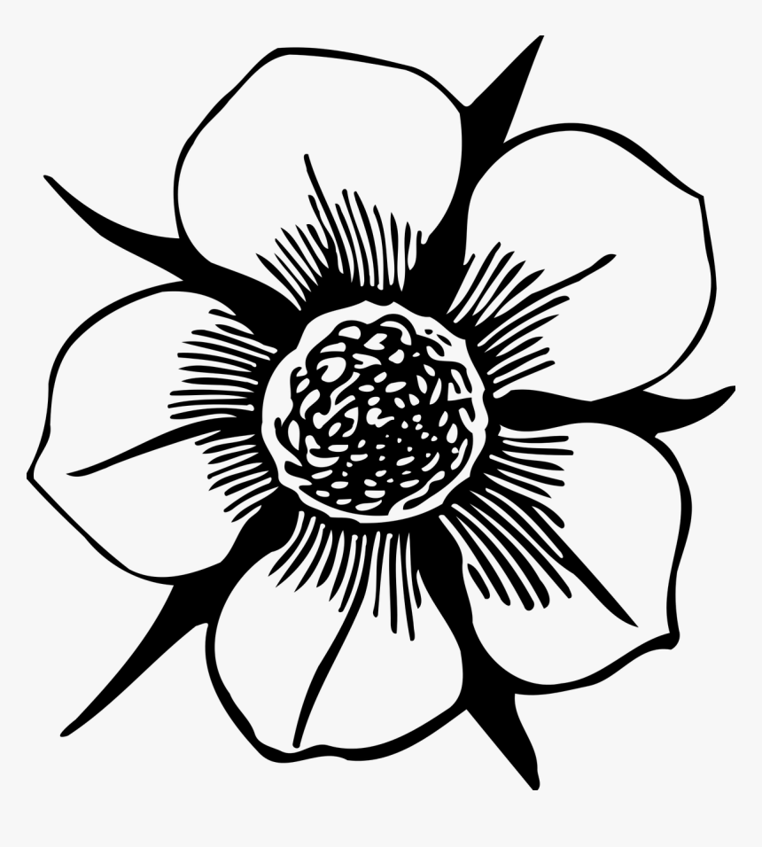 Floral Flower Petal Free Picture - Clipart Flowers Black And White Outline, HD Png Download, Free Download