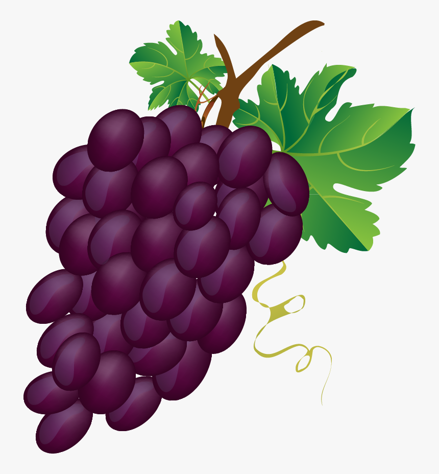 Bunch Of Grapes Clipart, HD Png Download, Free Download