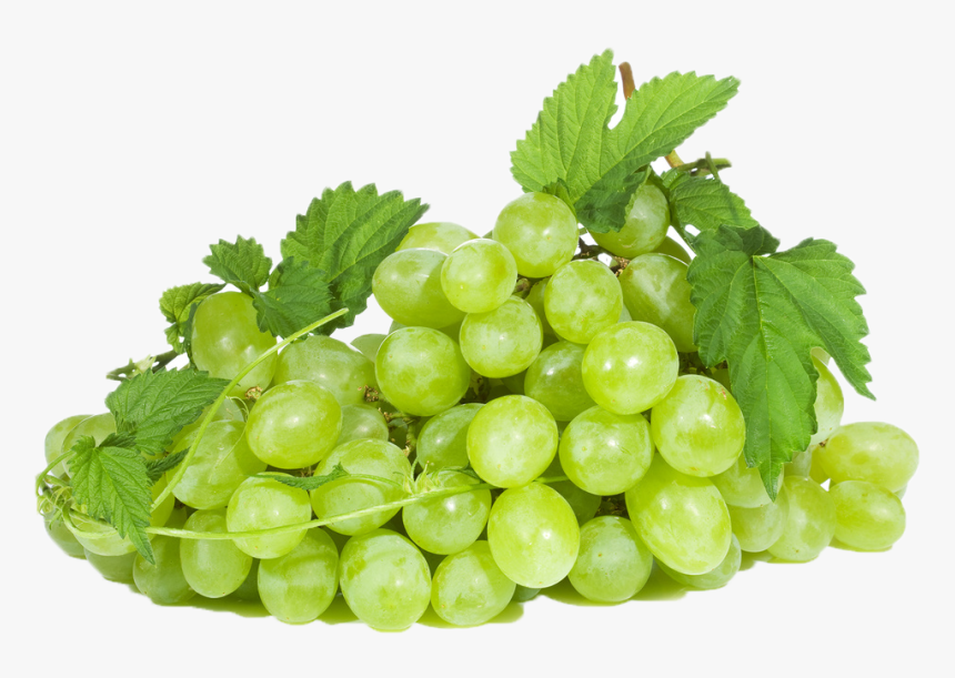 Black Grapes Png Photo Background - Seedless Fruit, Transparent Png, Free Download