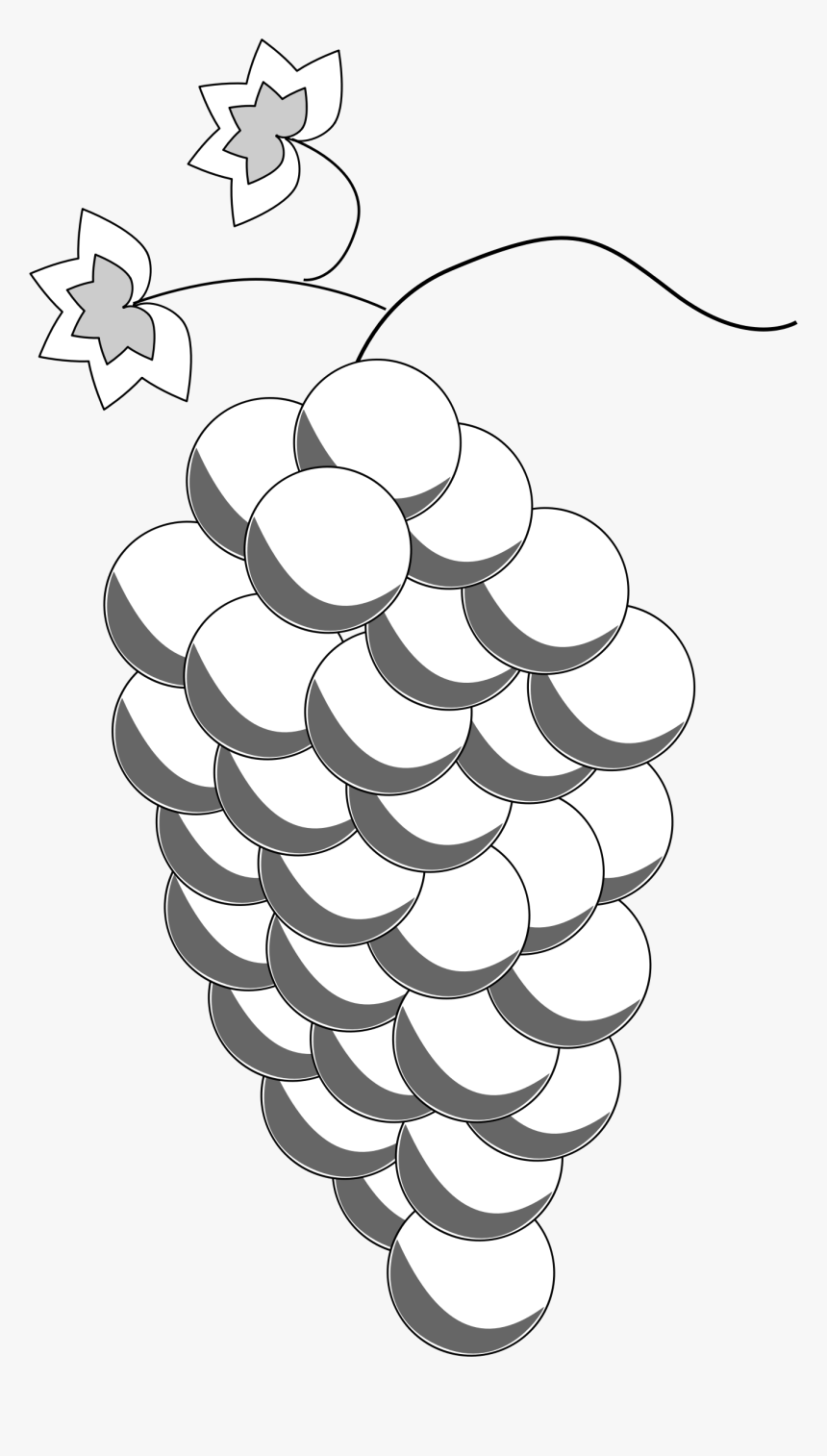 Grapes Line Art Clip Arts - รูป วาด ผล ไม้ องุ่น, HD Png Download, Free Download