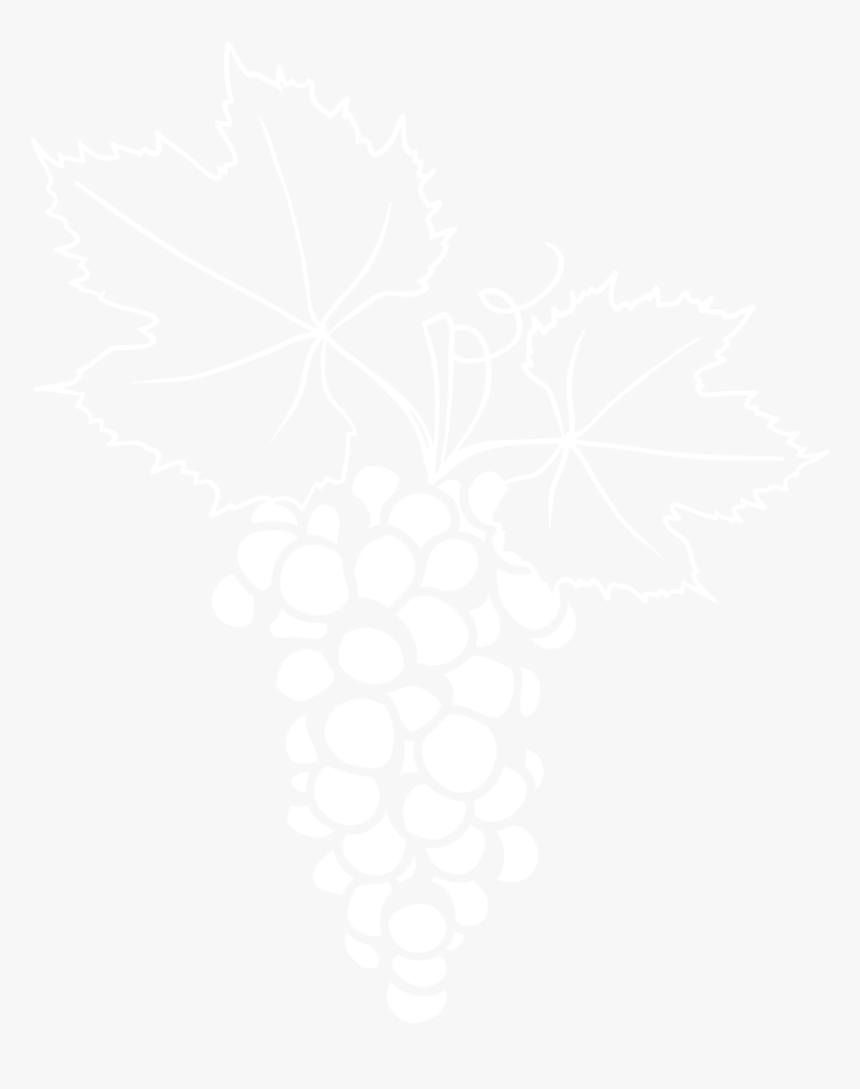 Grape, HD Png Download, Free Download