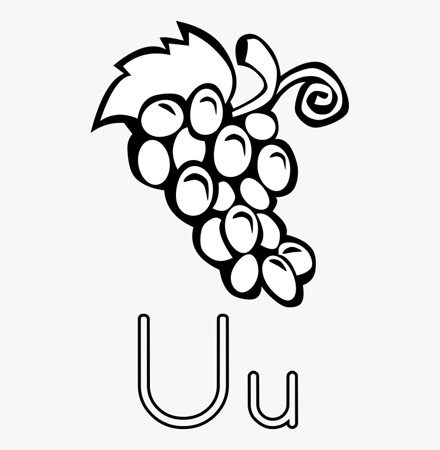 Common Grape Vine Wine Grape Leaves Grappa - Clip Art Black And White Grapes, HD Png Download, Free Download