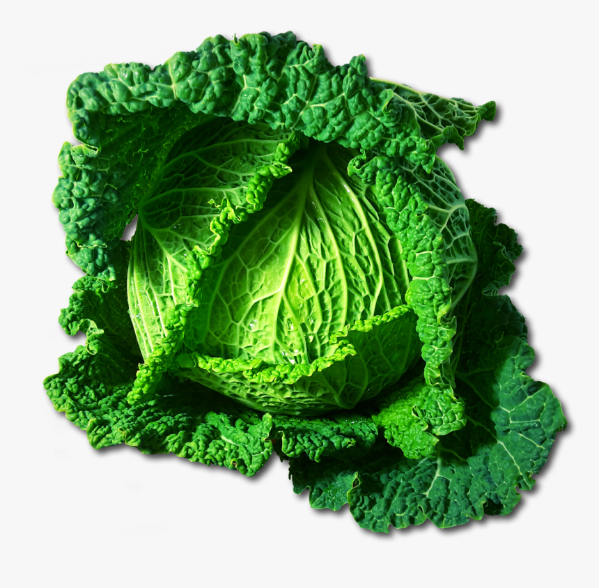Clipart Cabbages, HD Png Download, Free Download