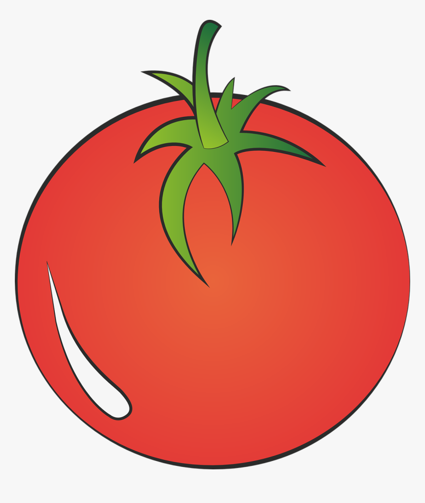 Clipart Tomato Transparent Background, HD Png Download, Free Download