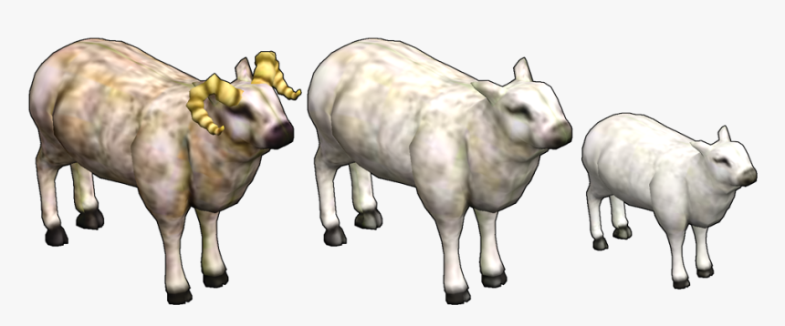 Ram Ewe Lamb Cartoon, HD Png Download, Free Download