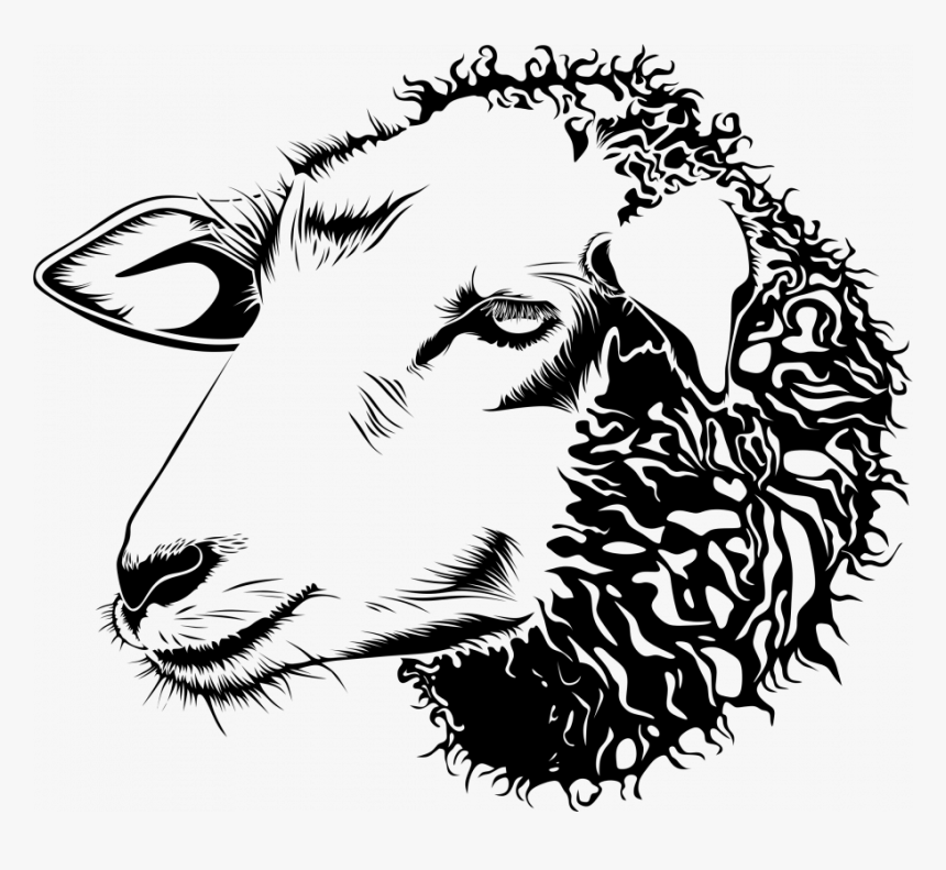 Sheep Head Black And White, HD Png Download, Free Download