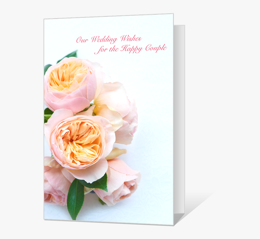 Wedding Wishes - Hybrid Tea Rose, HD Png Download, Free Download