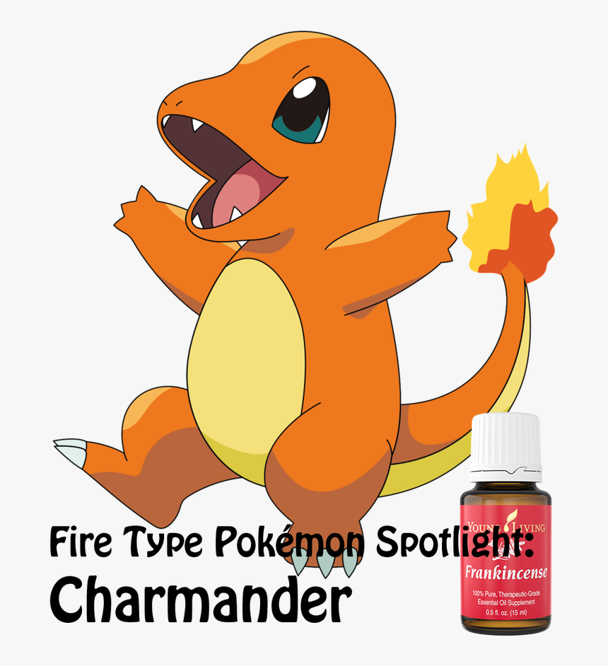 Pok Oils Gotta Try - Charmander Transparent, HD Png Download, Free Download