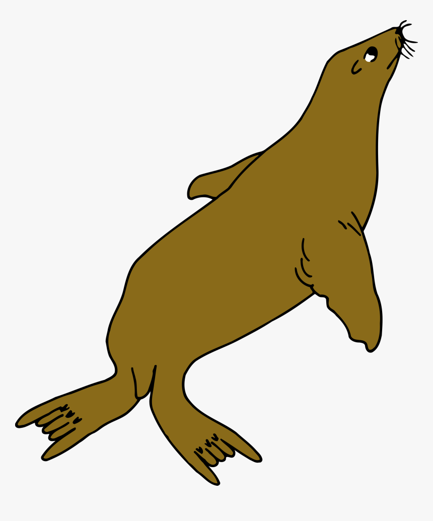 Cliparts For Free - Colour Of Seal Animal, HD Png Download, Free Download