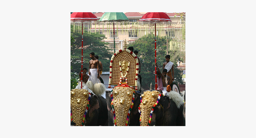 Layer - Elephant In Onam Festival, HD Png Download, Free Download
