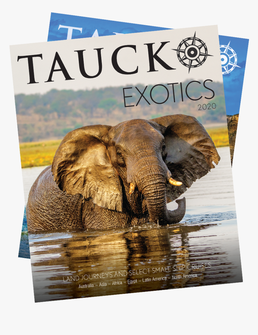 Tauck Exotics - Indian Elephant, HD Png Download, Free Download