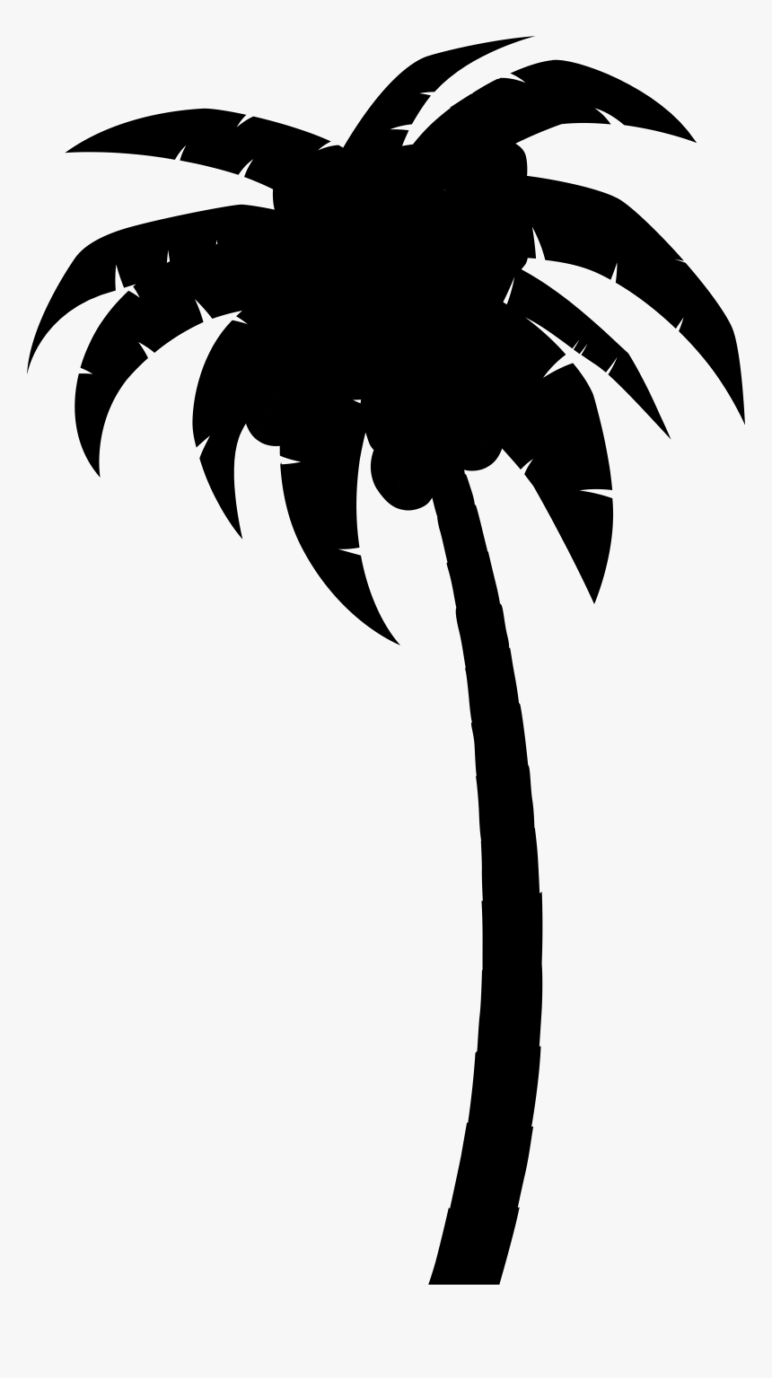 Palm Trees Clip Art Silhouette Leaf Flower - Illustration, HD Png Download, Free Download