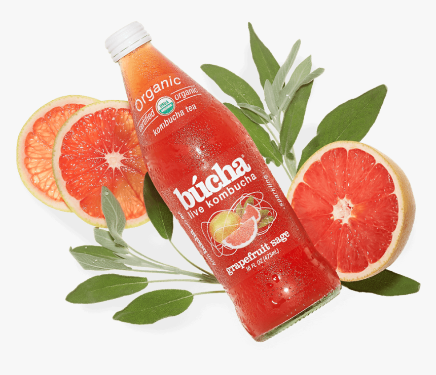 Bottle Of New Age Beverage Bucha Kombucha Grapefruit - Pomelo, HD Png Download, Free Download
