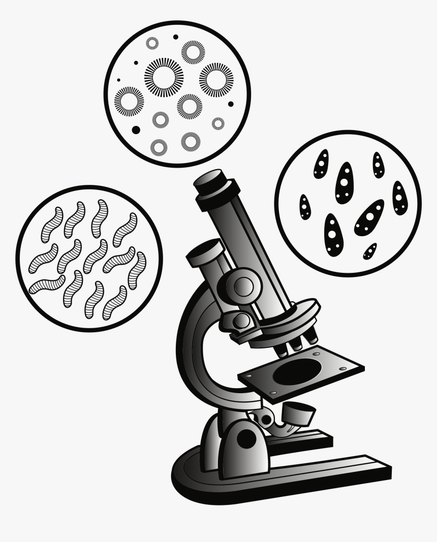 Transparent Scientist Clipart Free - Microscope Clipart, HD Png Download, Free Download