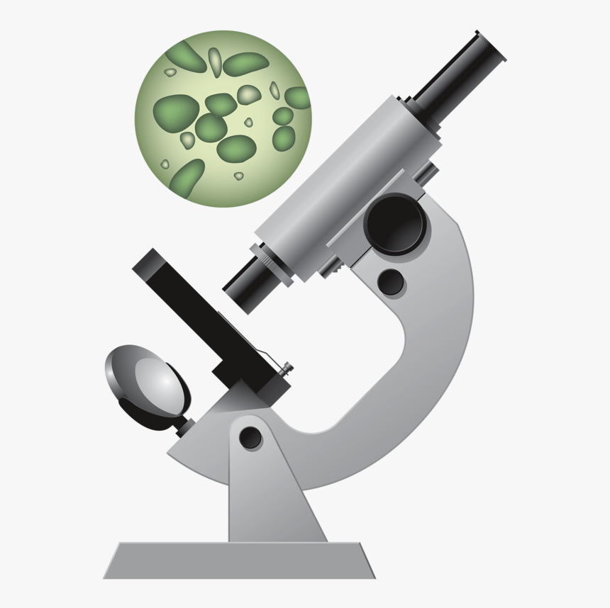 Microscope Clipart School - Png Microscope Vector, Transparent Png, Free Download