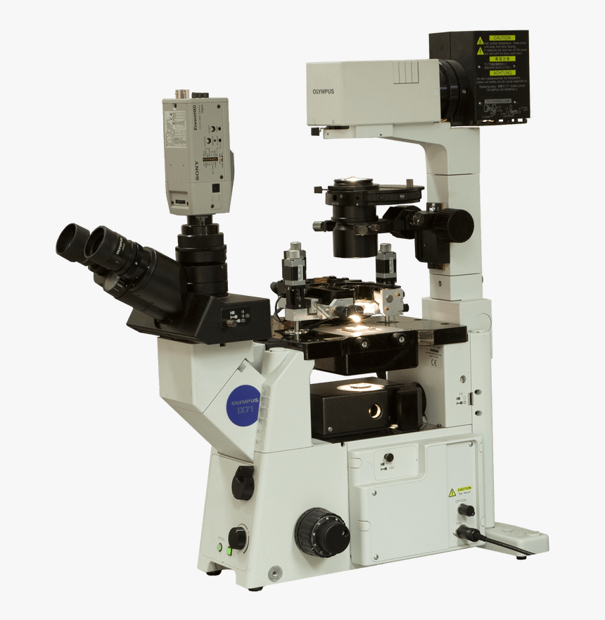 Certus Optic Atomic Force Microscope - Scanning Probe Microscope Parts, HD Png Download, Free Download