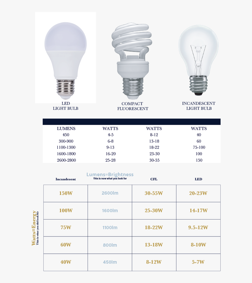 Bulbs2019 - Fluorescent Lamp, HD Png Download, Free Download