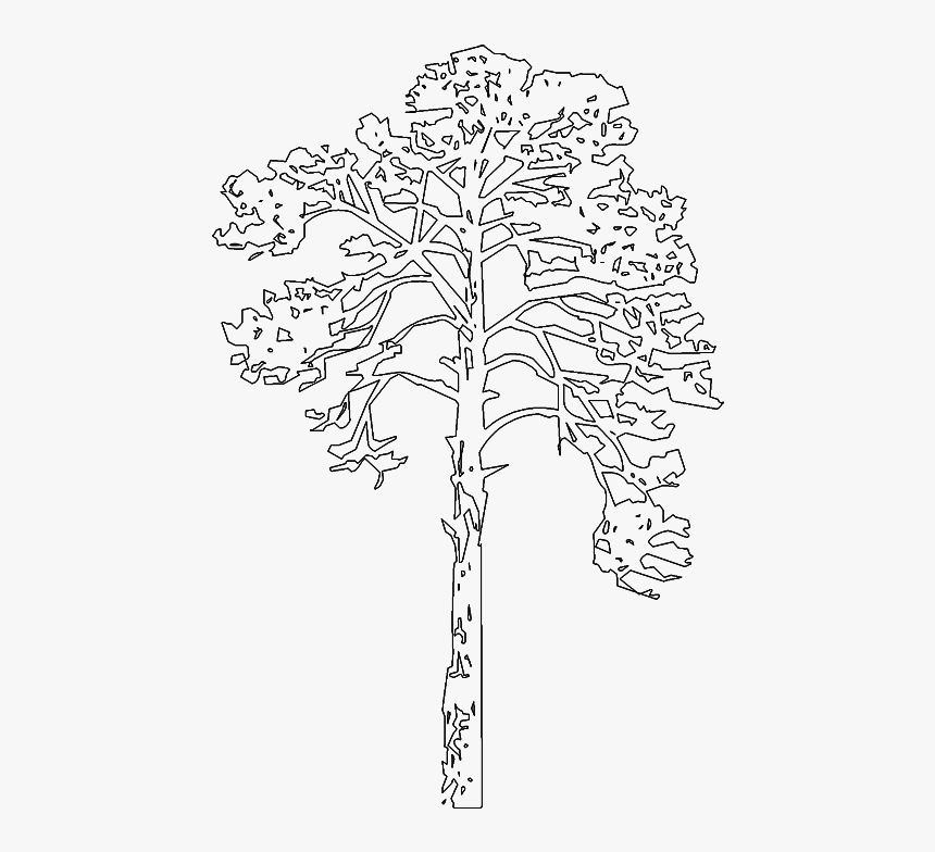 Дерево пнг для чертежа