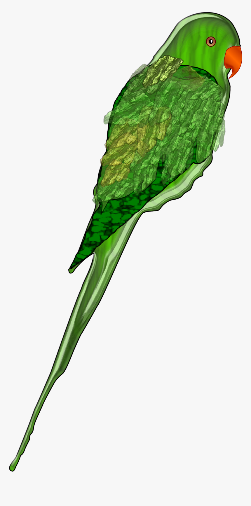 Parrot Clip Arts - Drawn Green Parrot, HD Png Download, Free Download