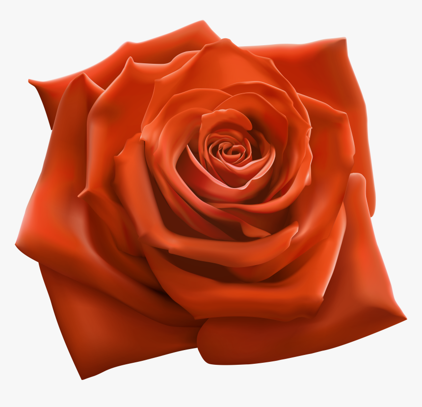 Transparent Transparent Rose Png - Roses Flowers Clipart Transparent, Png Download, Free Download