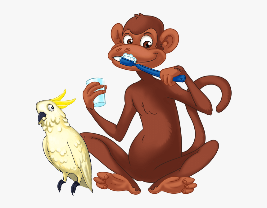 Teeth Clipart Monkey - Sulphur-crested Cockatoo, HD Png Download, Free Download