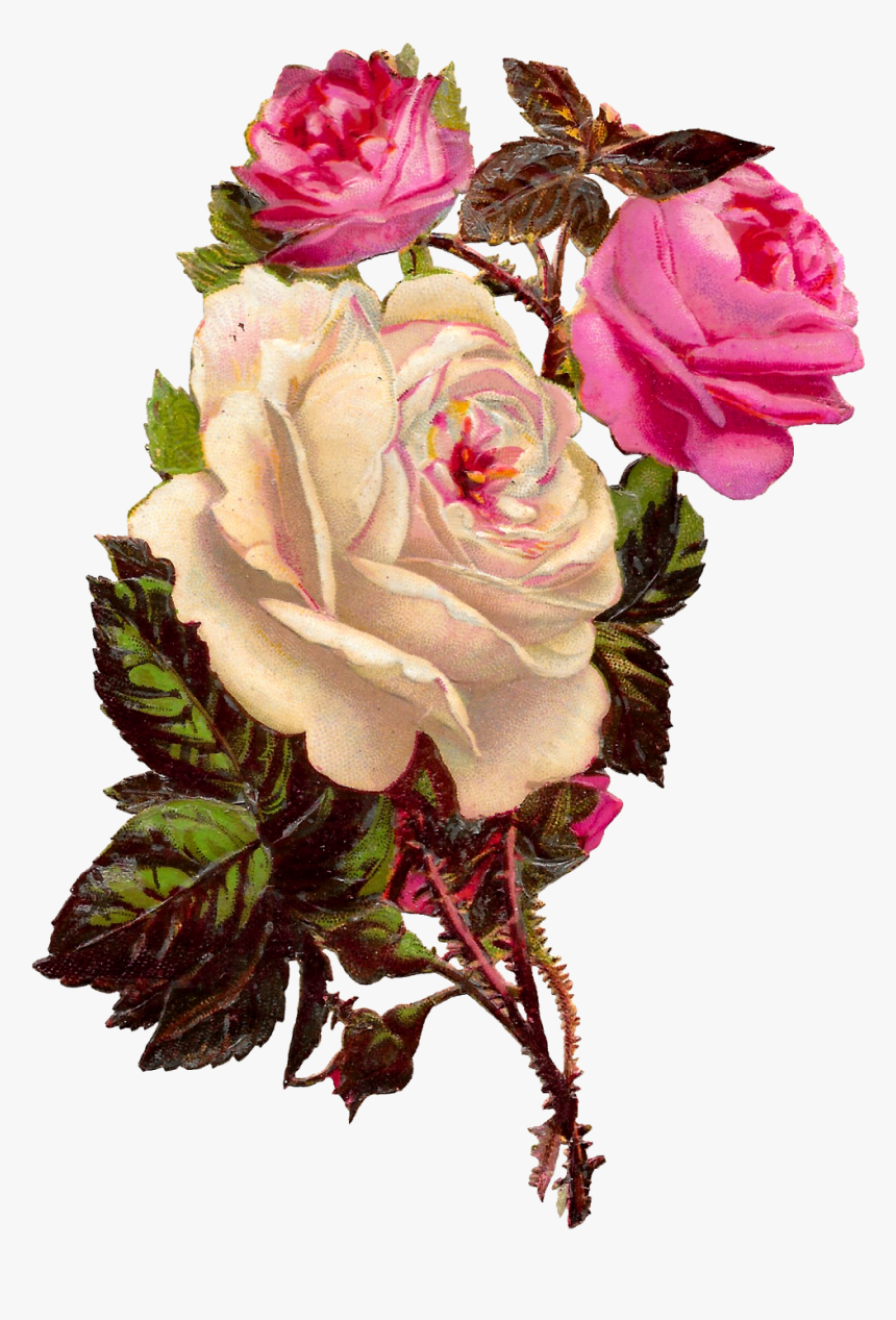 Shabby Basket Flower Rose Chic PNG stock image clipart vintage epherma digital scrapbooking printable retro victorian transparent background
