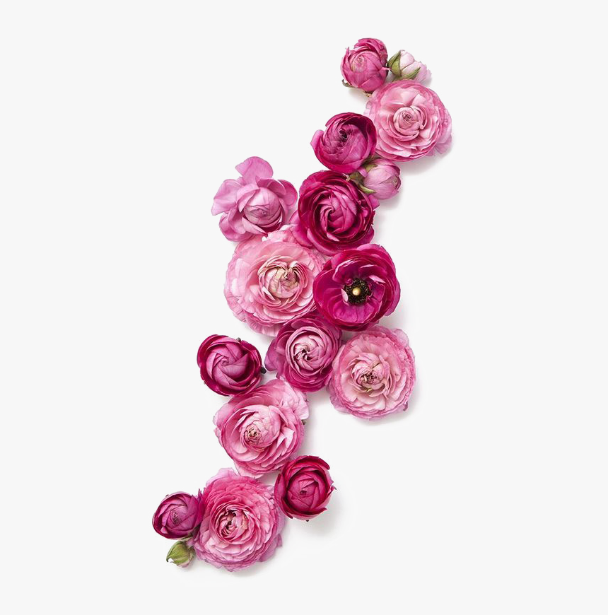 Fuschia Flowers Png, Transparent Png, Free Download