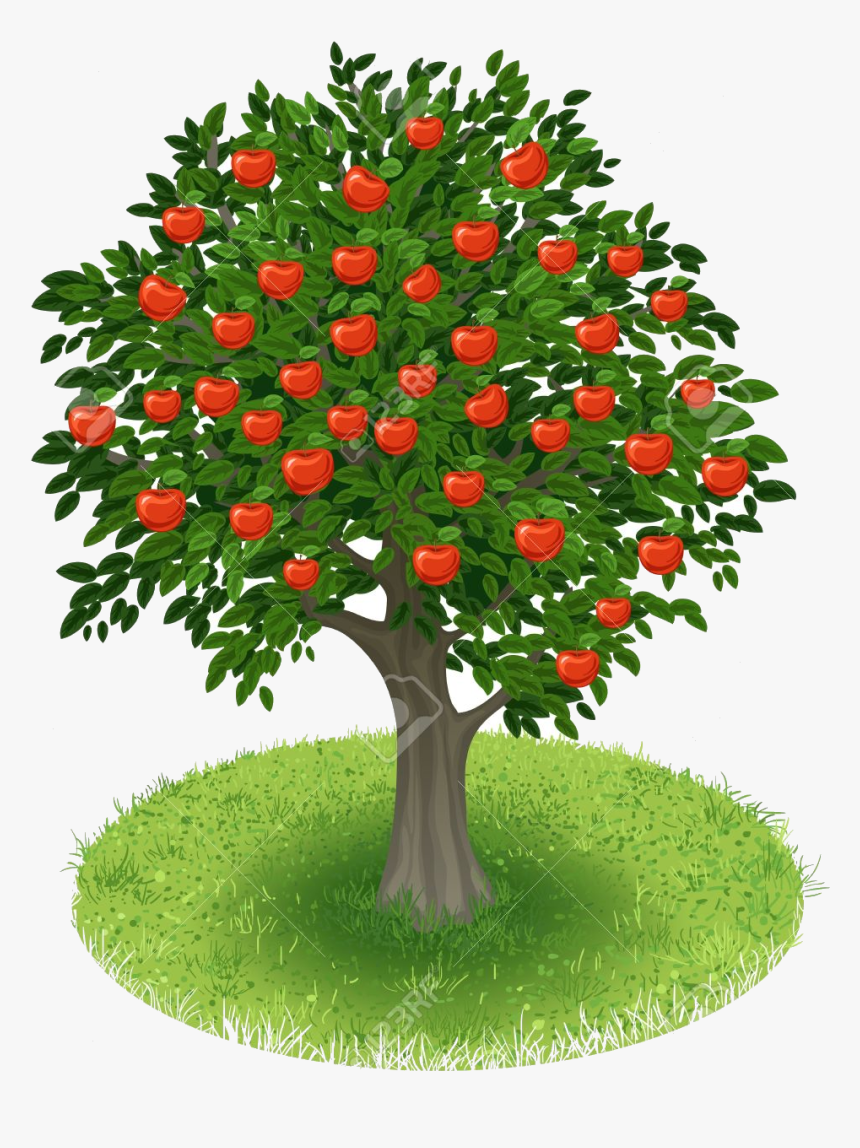 Apple Tree Clipart Transparent Png - Orange Fruit Tree Cartoon, Png Download, Free Download