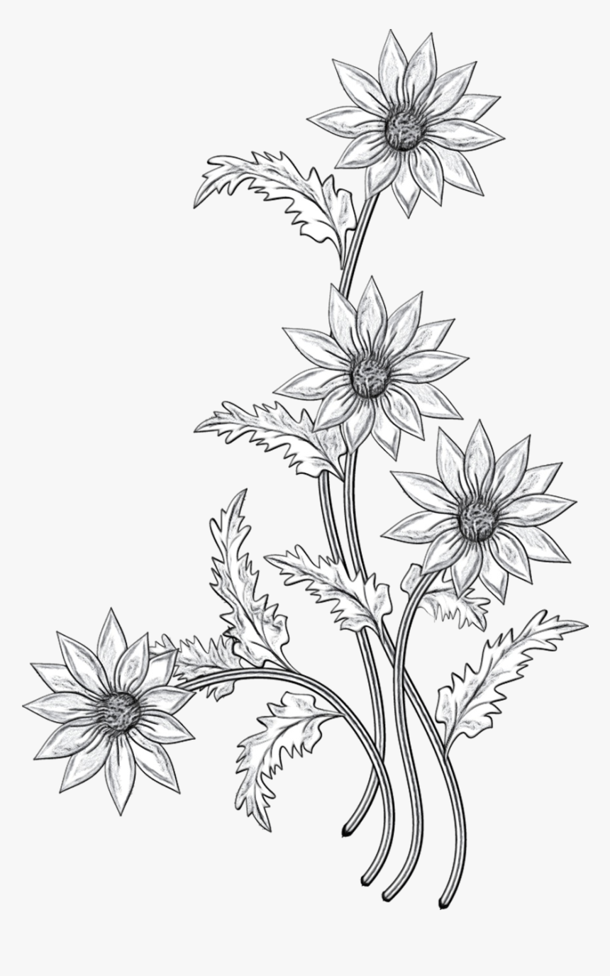 Floral Design Cut Flowers Black & White - Flowers Png Black And White, Transparent Png, Free Download