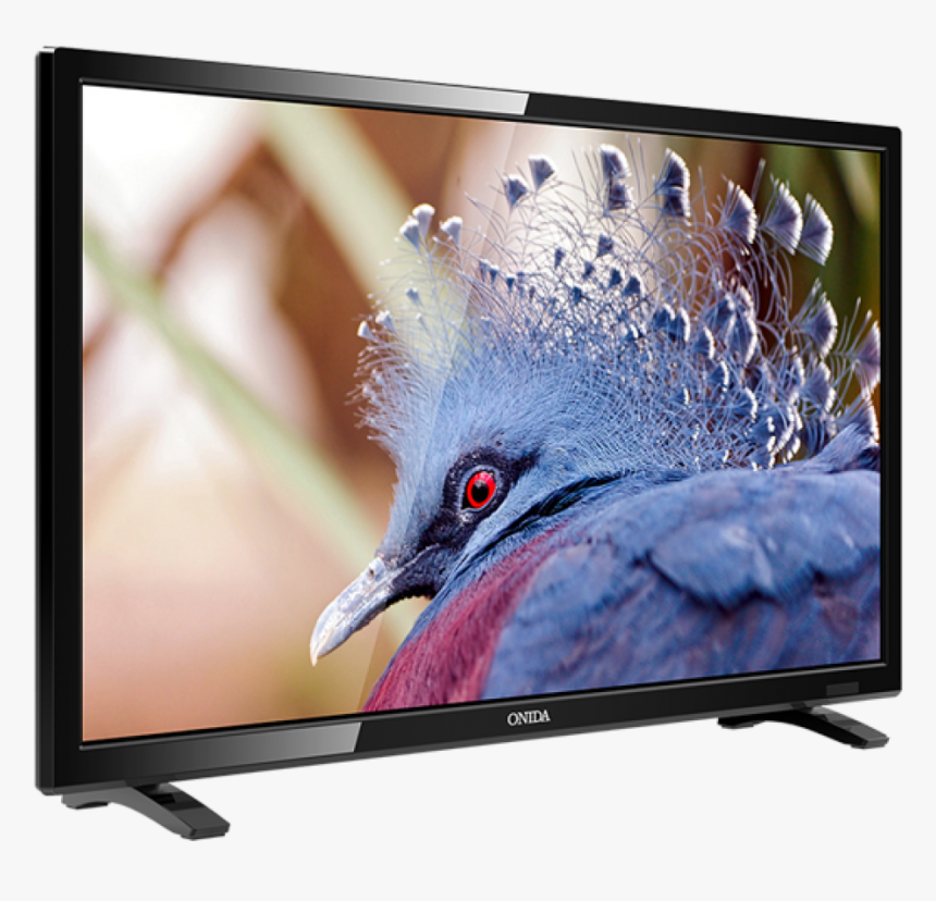 Picture Of Onida Led Leo24hb Hd"
									 Title="onida - Onida Led Tv Price, HD Png Download, Free Download