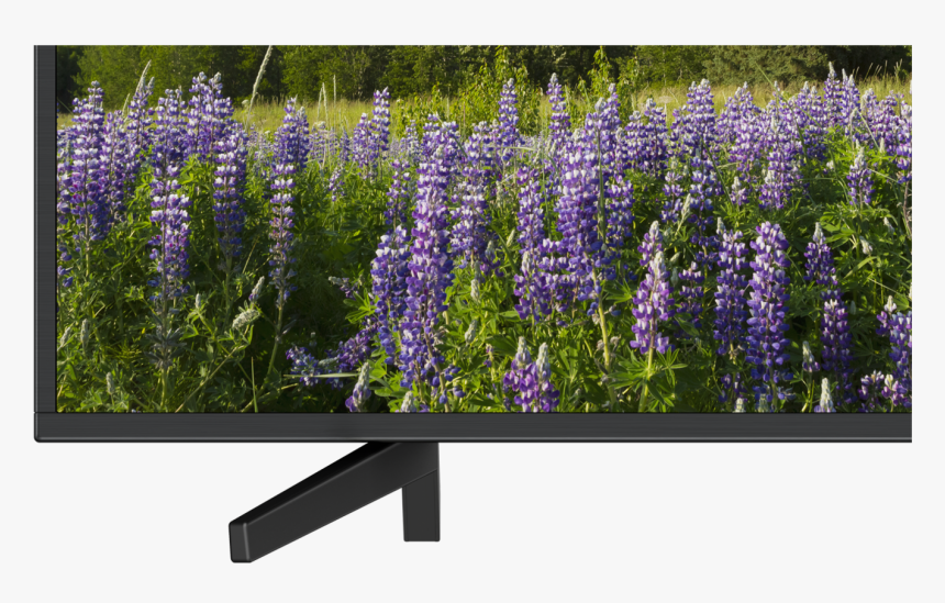 65 - Sony Tv X70f 65 Inch, HD Png Download, Free Download