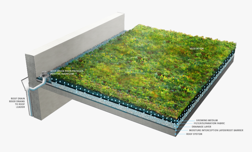 Create A Green Roof, HD Png Download, Free Download