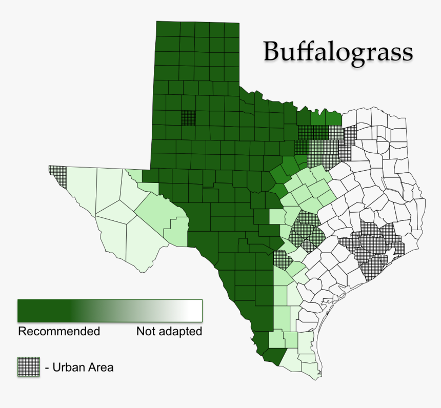 Buffalograss Map - Tall Fescue North Texas, HD Png Download, Free Download