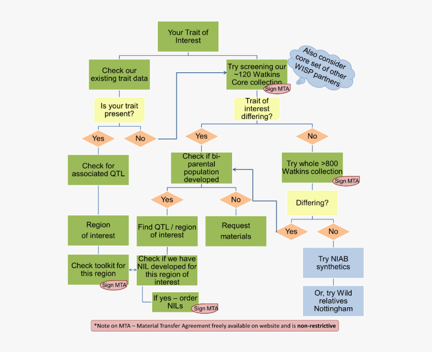 Wisp Flowchart, HD Png Download, Free Download