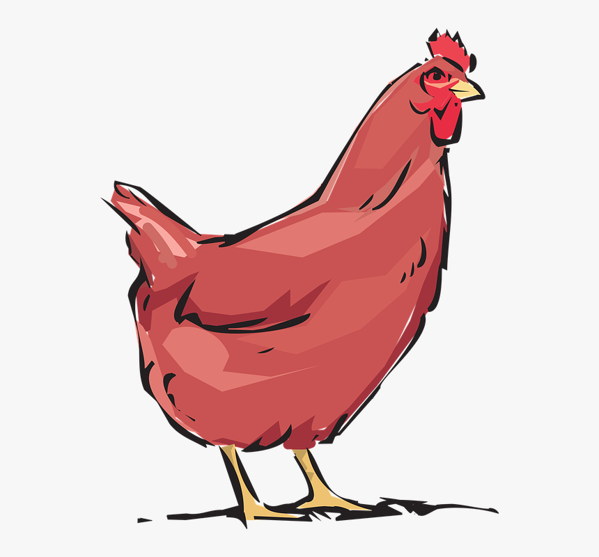 Red Hen, Animal, Farm - Chicken Cartoon Png, Transparent Png, Free Download