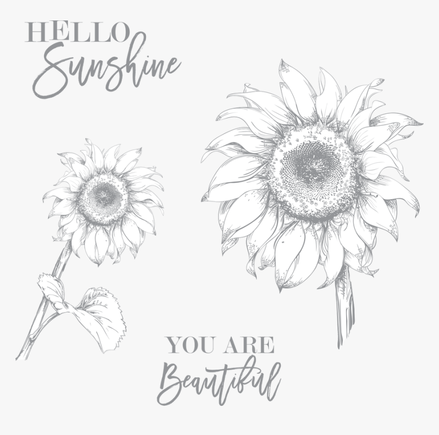 Hello Sunflower Stamp Set - Sunflower Stamp Set, HD Png Download, Free Download