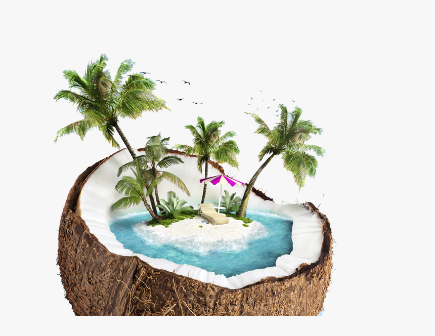 Beach Png - Coconut With Beach Inside, Transparent Png, Free Download