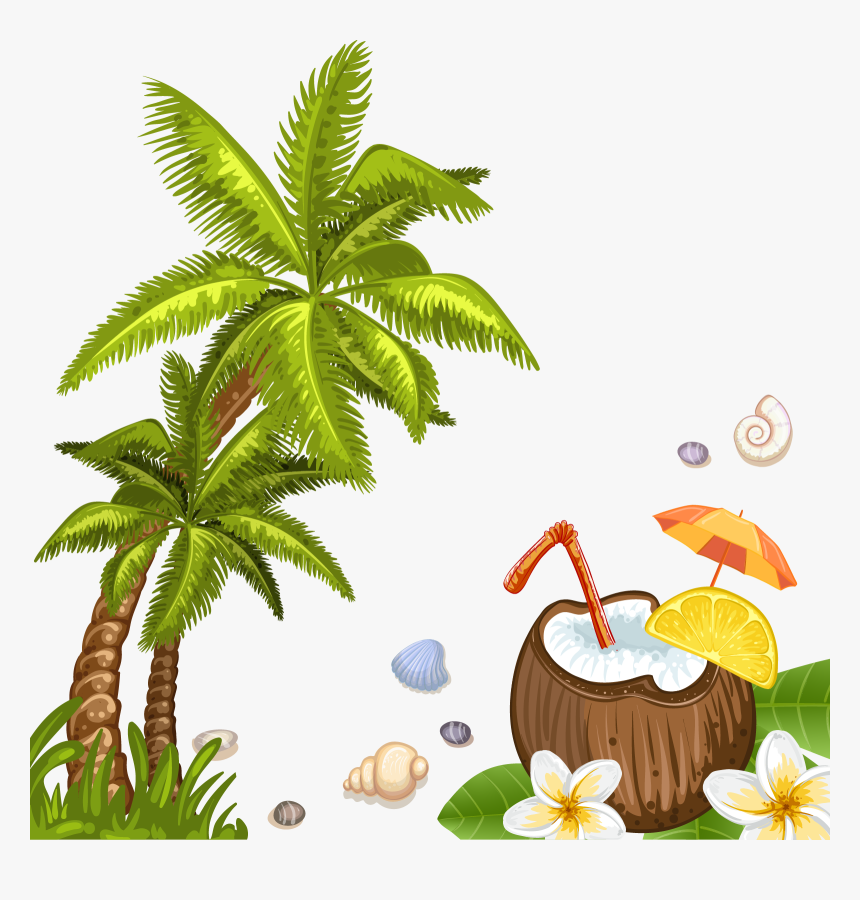 Beach Coconut Tree Png, Transparent Png, Free Download