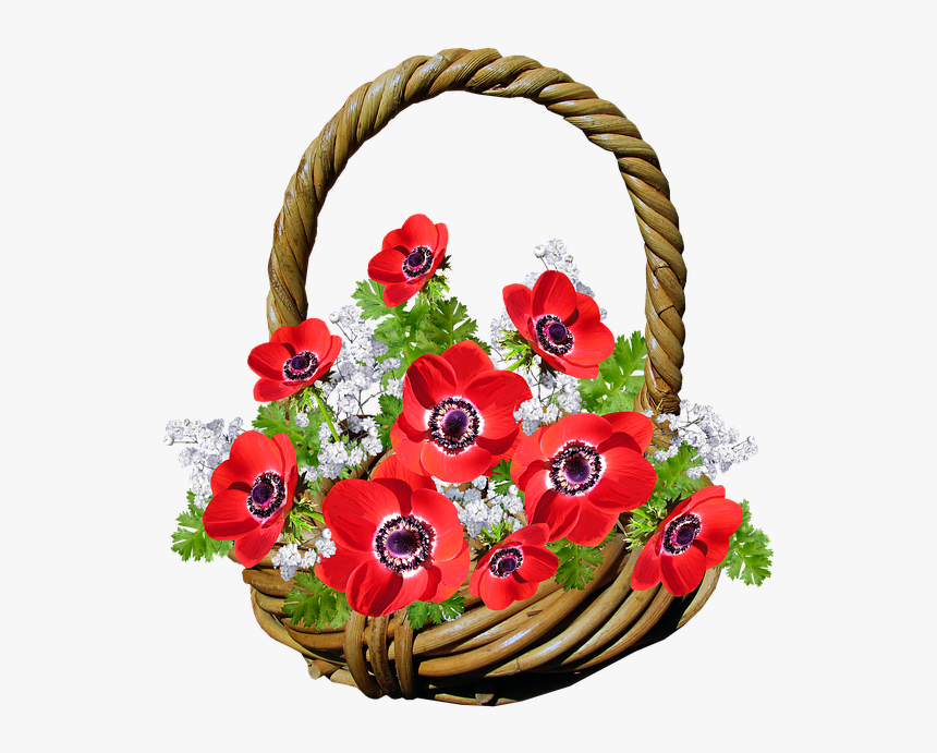 Basket, Anemone, Red Flowers, Gift - Png Flower Basket Download, Transparent Png, Free Download