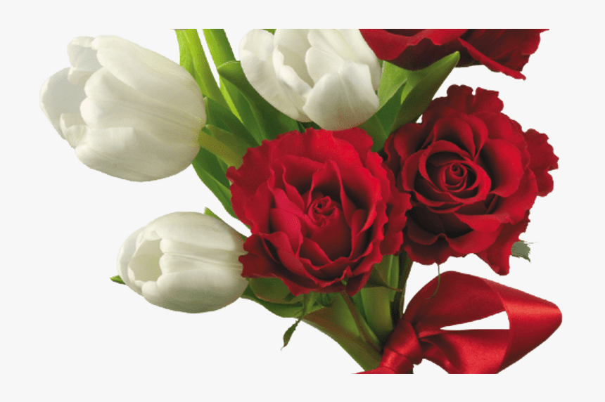 Clip Art Roses Bokeh - Roses And White Tulips, HD Png Download, Free Download