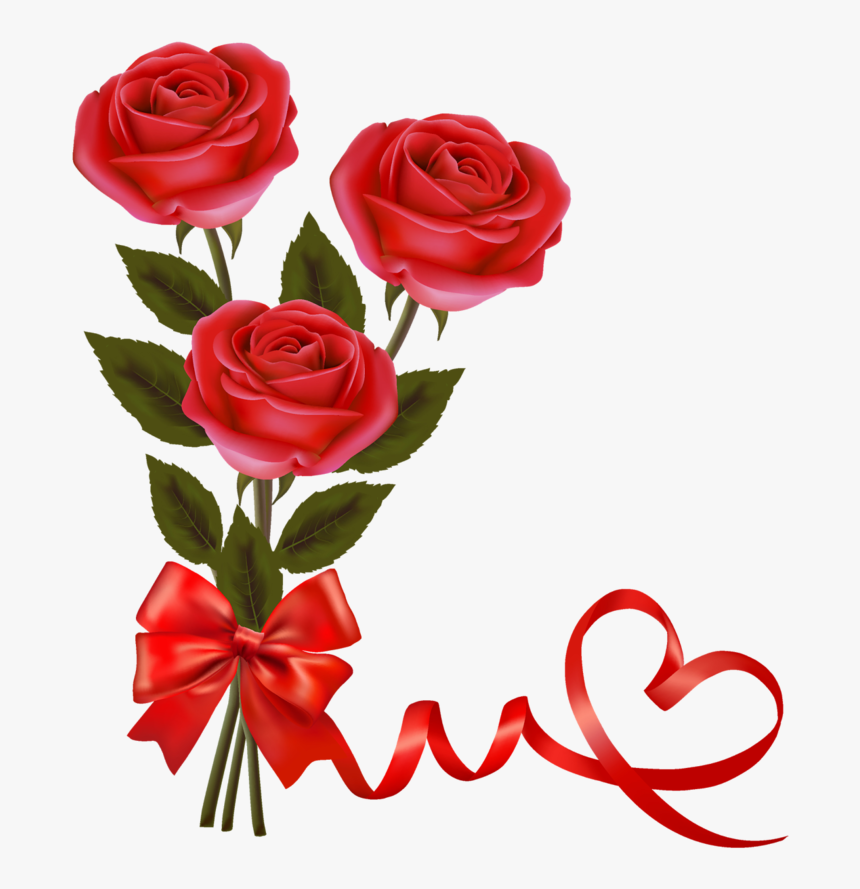 Welcome To My Tender I Requi - Valentine Day Red Rose, HD Png Download, Free Download