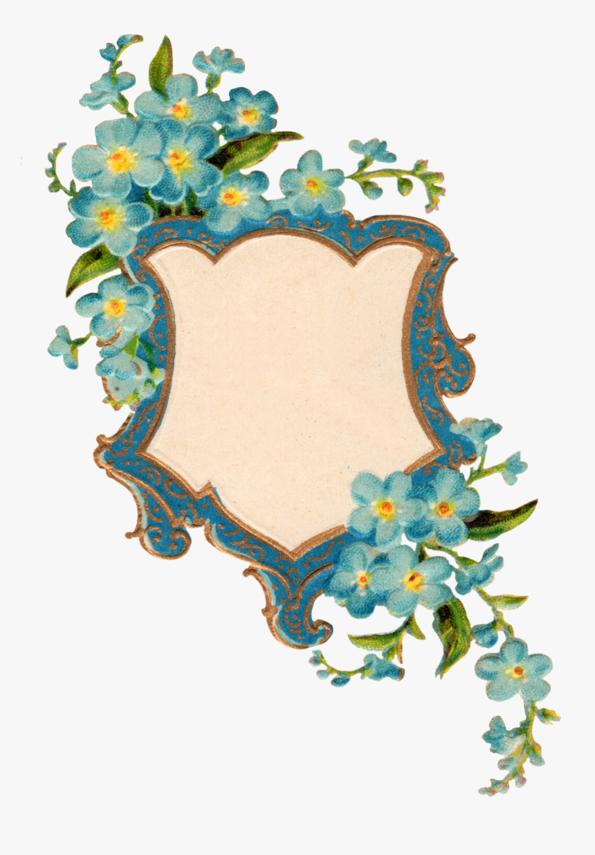 Forget Me Not Png Picture - Forget Me Not Frame, Transparent Png, Free Download