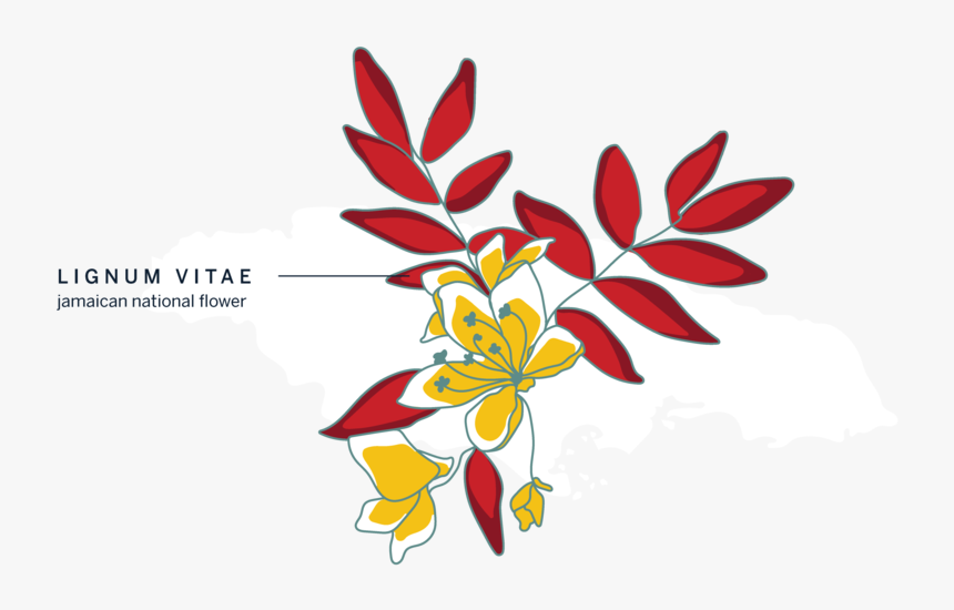 Illo Jamaica - Illustration, HD Png Download, Free Download