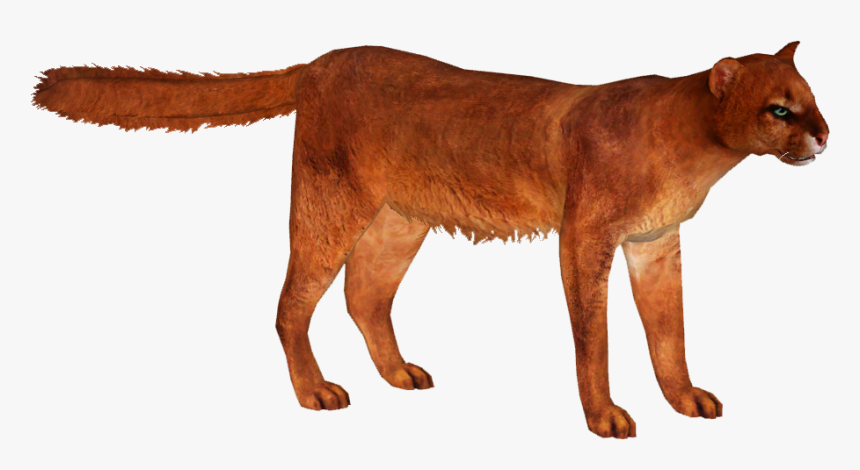 Puma Yagouaroundi Png , Png Download - Jaguarundi En Png, Transparent Png, Free Download