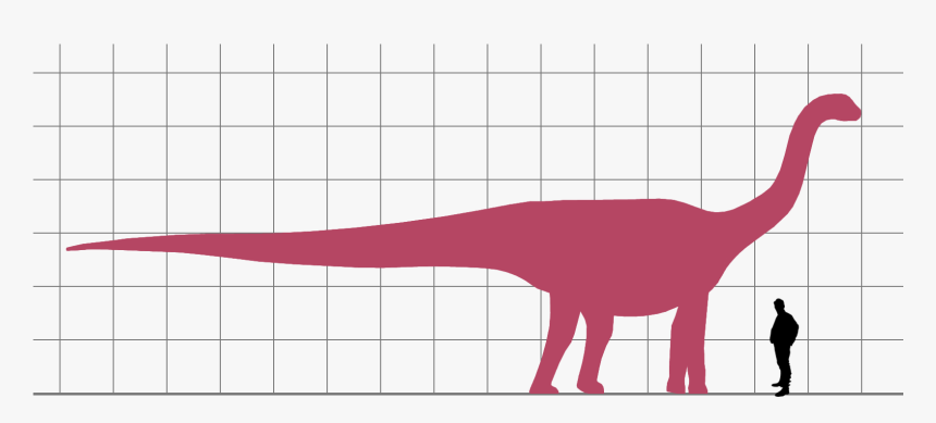 Patagosaurus Scale - Dinosaur, HD Png Download, Free Download