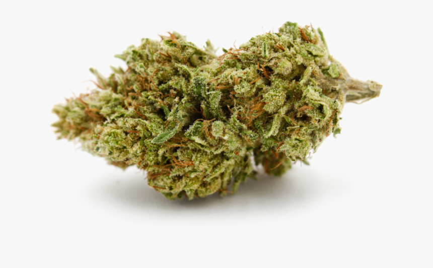 Transparent Weed Bud Png - Ak 47 Strain, Png Download - kindpng.