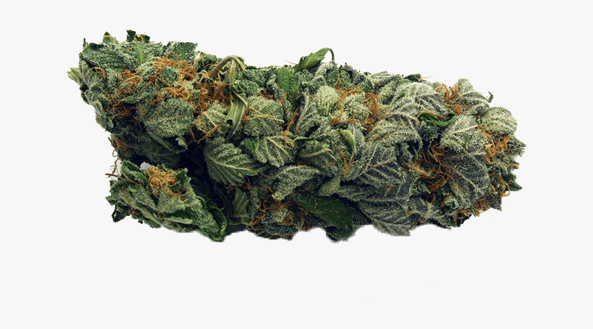 Marijuana Order Online - Marijuana Bud Png, Transparent Png, Free Download