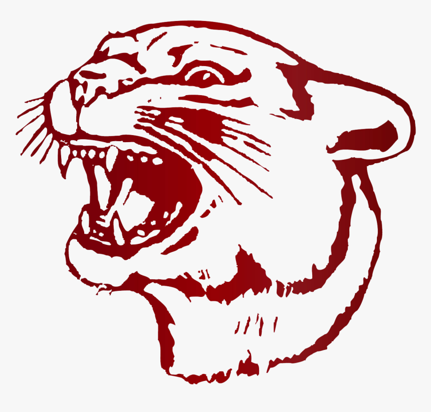 South Decatur High School - South Decatur High School Cougars, HD Png Download, Free Download