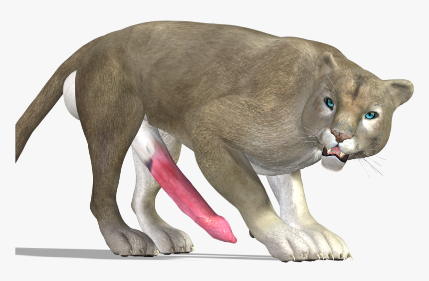 Cougar , Png Download - Cougar Png, Transparent Png, Free Download